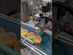 Máy nạp cơ sở trang điểm tự động SUS304 Gear Pump Heatable