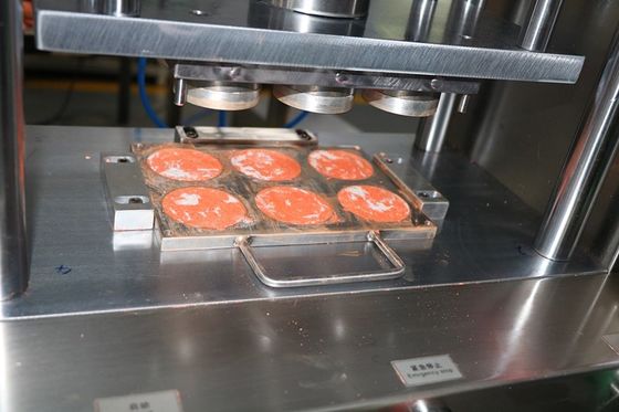 6 lỗ Cnc nhôm khuôn để hình dạng bột ướt 1 năm bảo hành